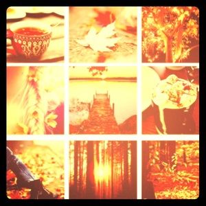 F a l l is approaching🍁PuMpKiN SpIcE🍁